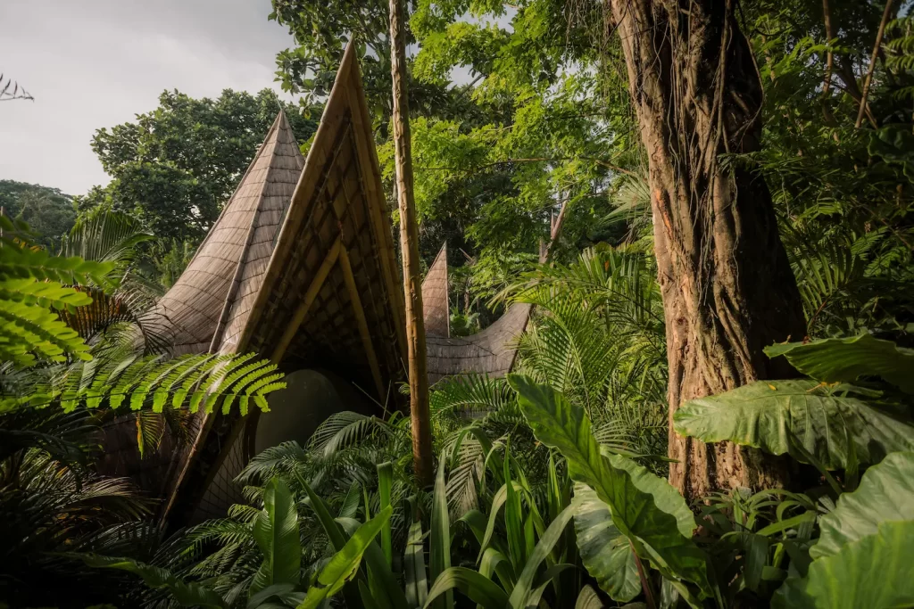 Suenyo Eco Retreat - Tabanan - Bali - Jungle Retreat